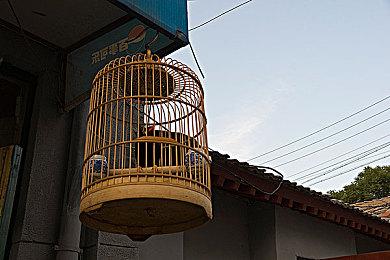 暴雪全新生存3A游戏代号“奥德赛” 开发近五年之久